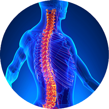 A man 's spine is shown in a blue circle