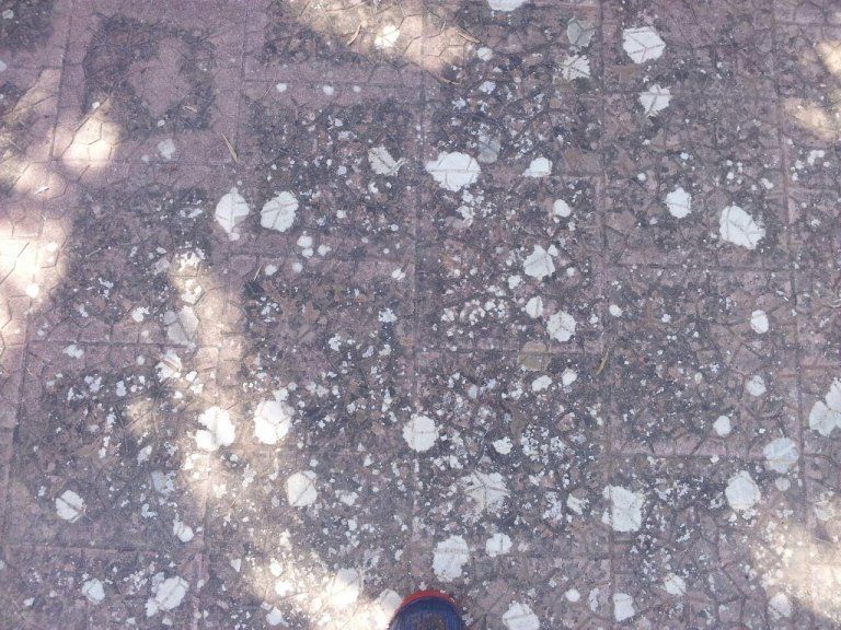 lavaggio di superfici