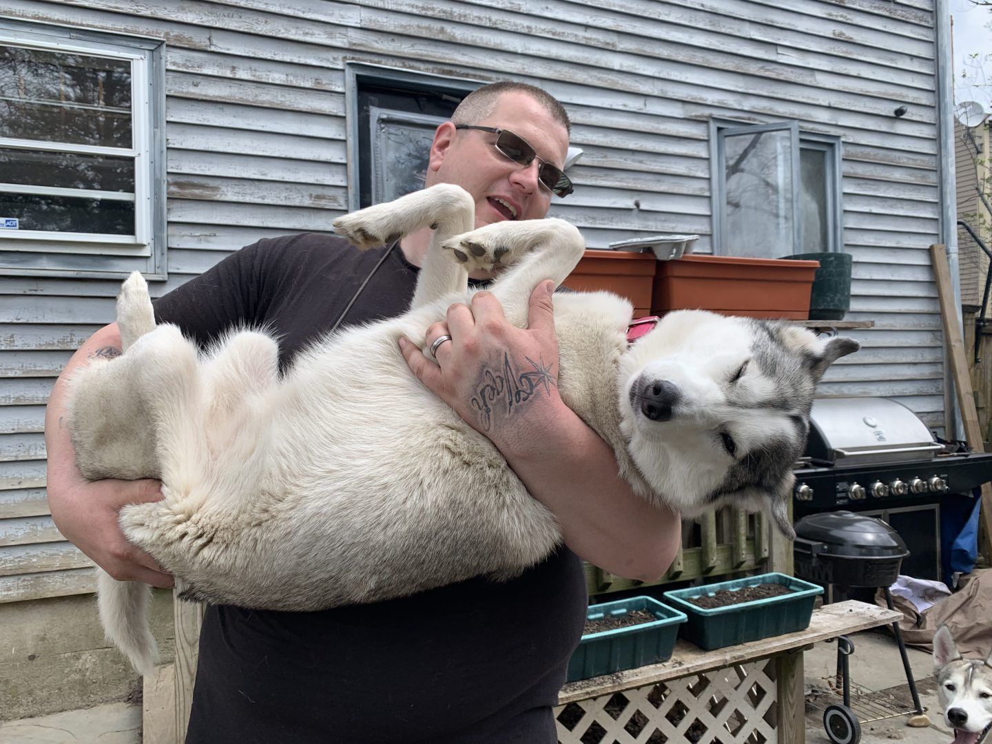 Man holding a fluffy white and grey dog upside down, smiling outside near a wooden building.