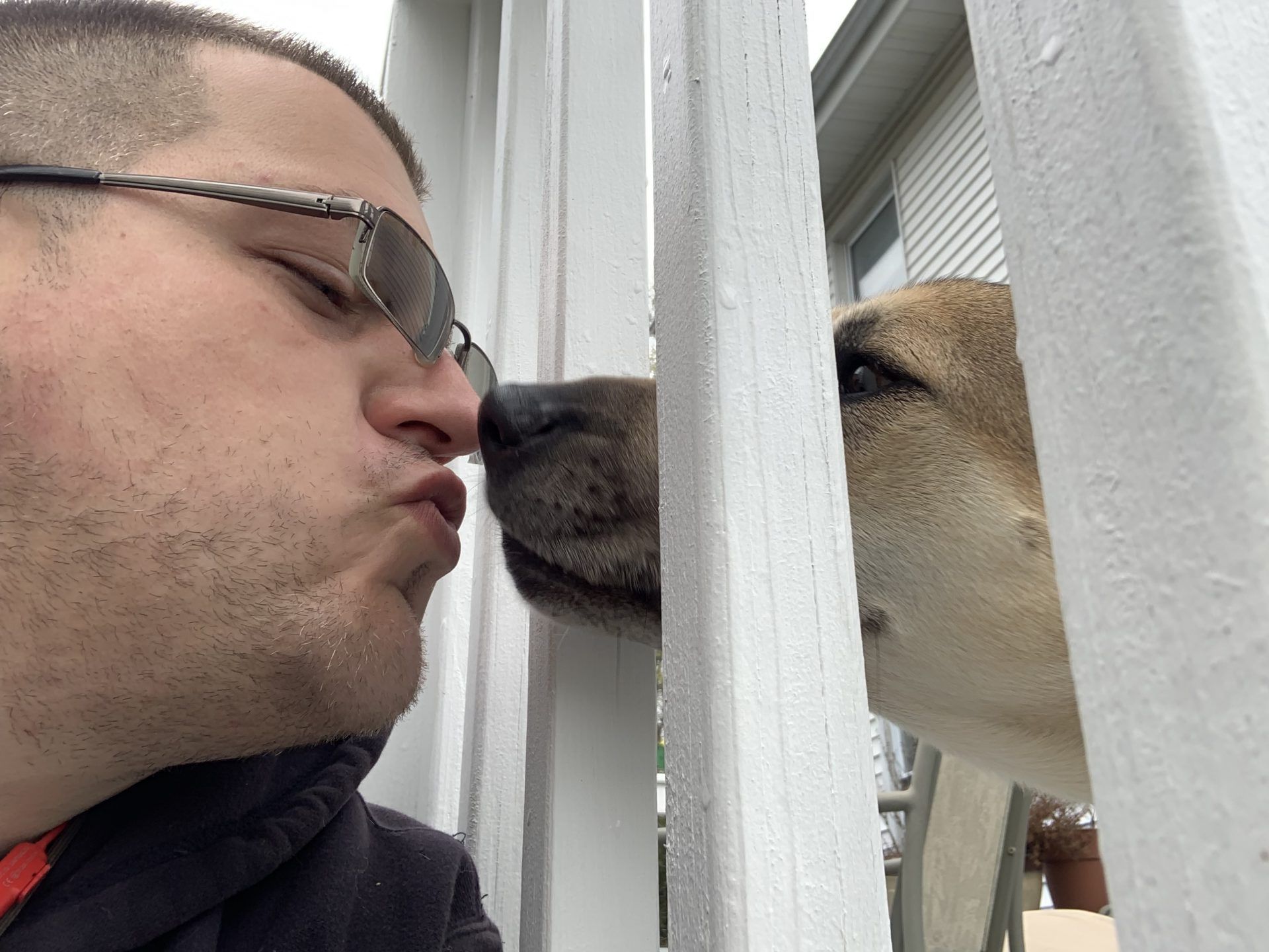 Man kissing dog through white fence. Both have their noses together.