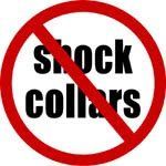 Shock Collars