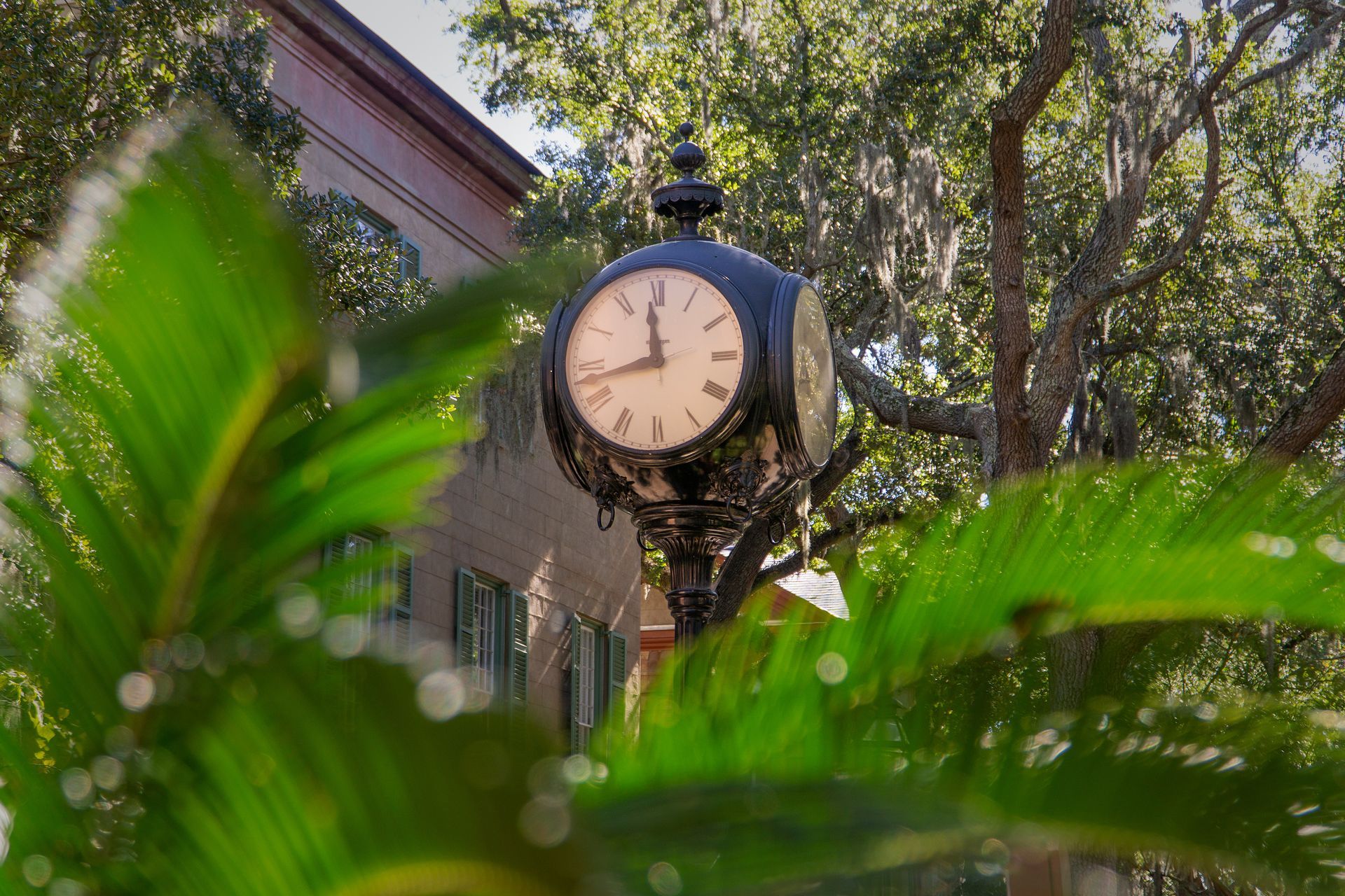 Street clock with four faces; foliage in foreground, building in background. Shows about 9 o'clock.