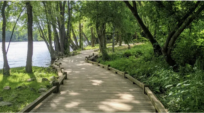 Wooden boardwalk winds through a lush green park alongside a body of water on a sunny day.