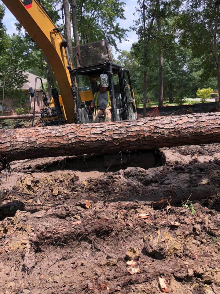 Removing Tree Branch — Summerville, SC — Southern Roots Land Development