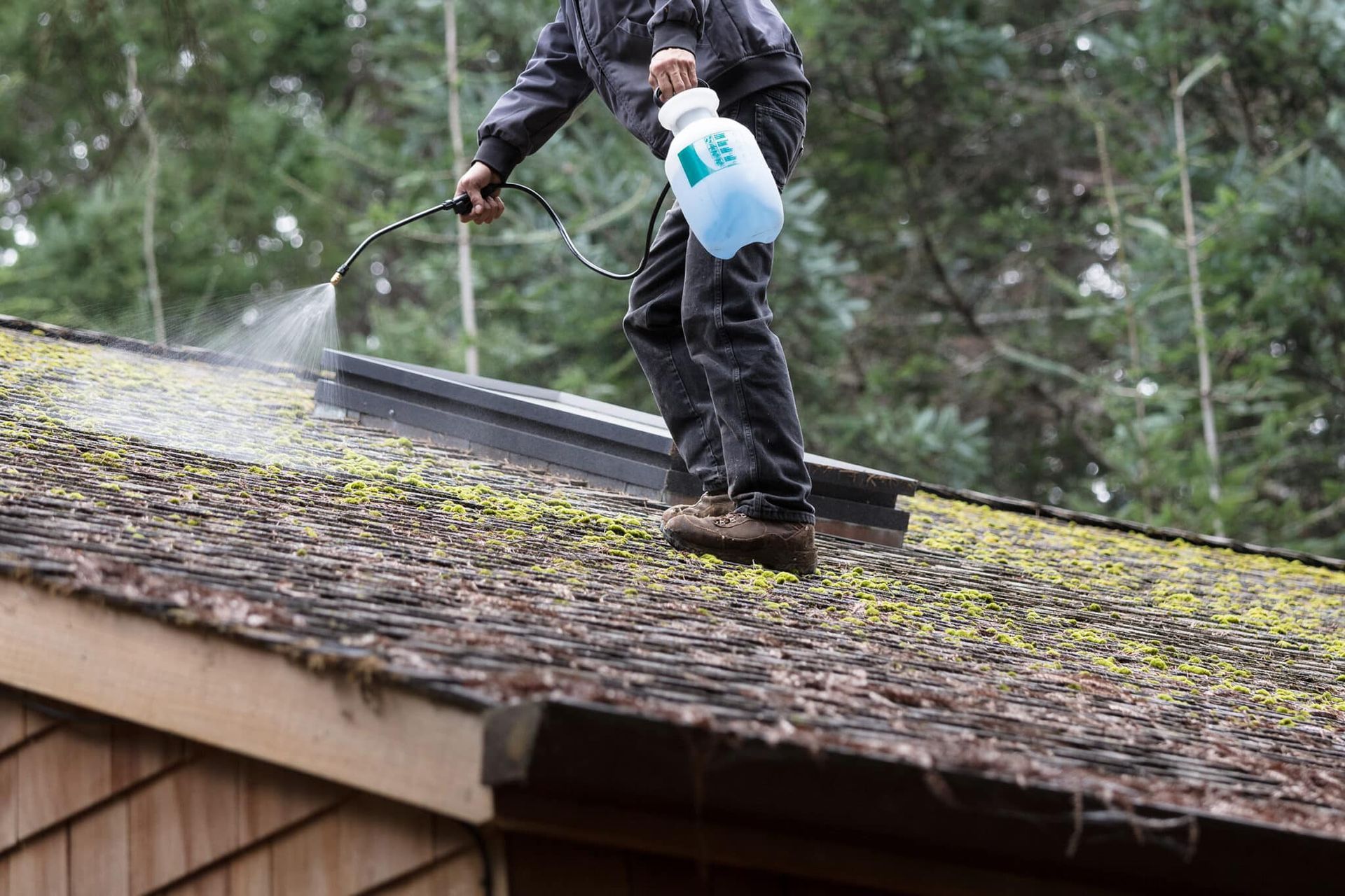 Cleaner washing large house windows under bright spring sunlight