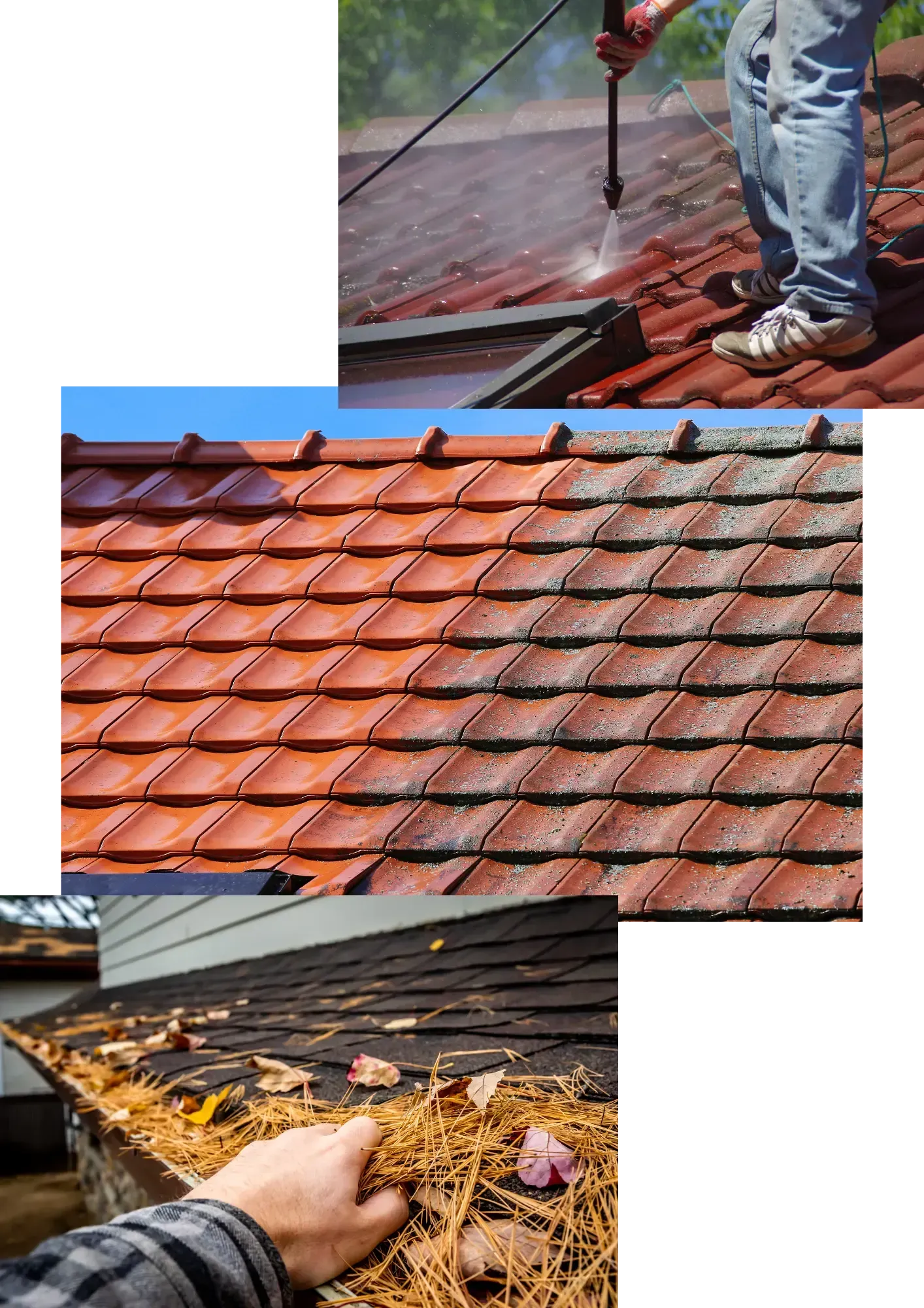 window-cleaning-services