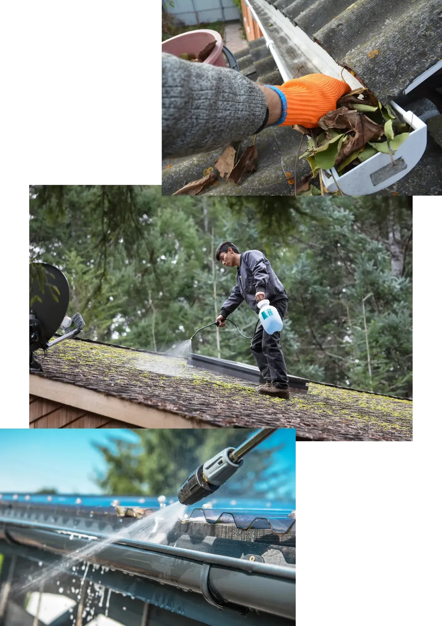 window-cleaning-services