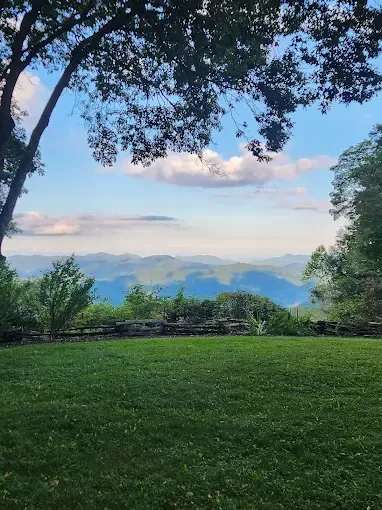 A person is cutting a tree branch with a saw.