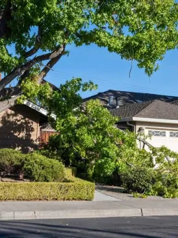 A house with a fallen tree in front of it
