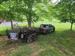 A person is cutting a tree branch with a saw.