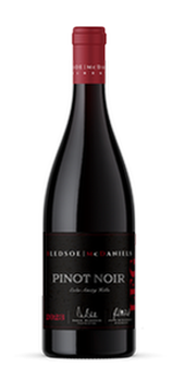 Bottle of red Pinot Noir wine with a black label and red cap on a white background