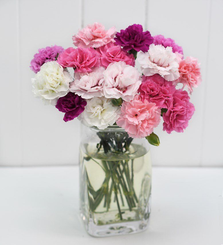 A vase filled with pink and purple flowers