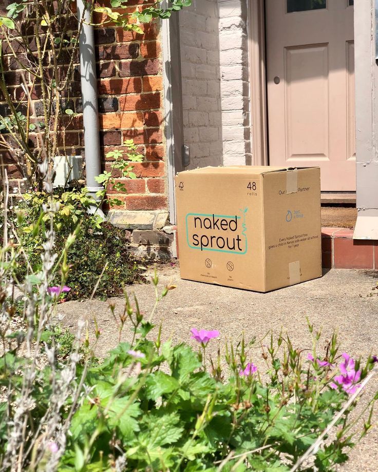 A cardboard box is sitting on the sidewalk in front of a house.