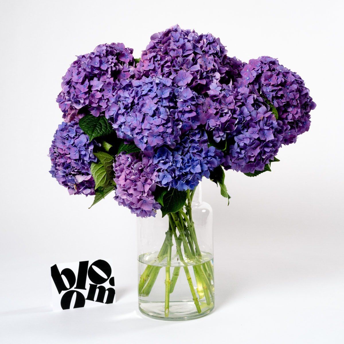 A vase filled with purple flowers next to a sign that says bloom