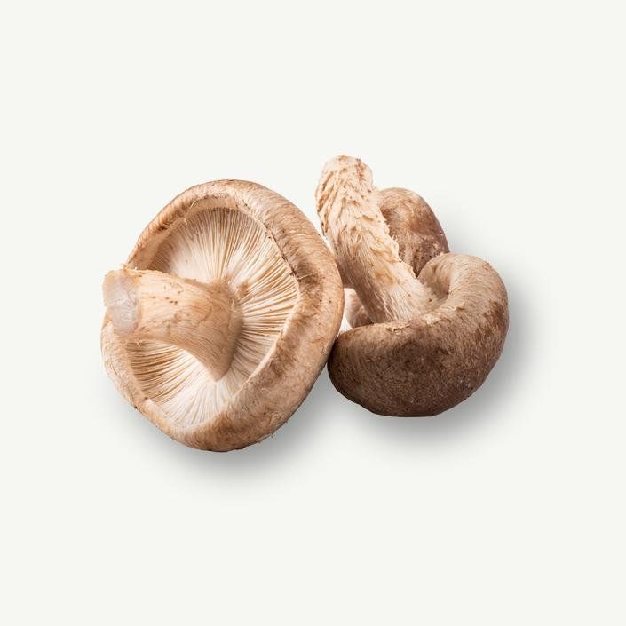 A close up of two mushrooms on a white background