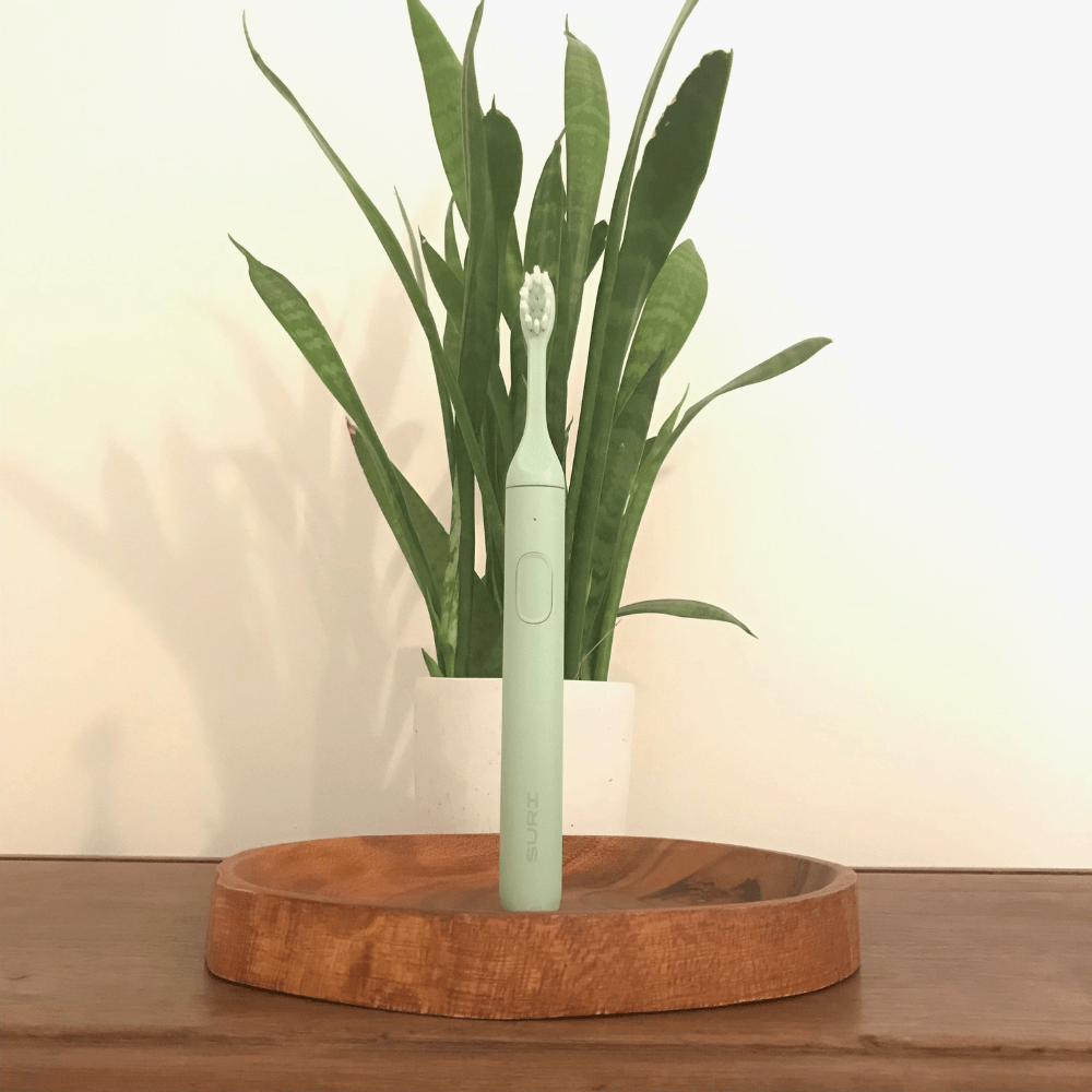 a toothbrush is sitting on a wooden tray next to a potted plant .