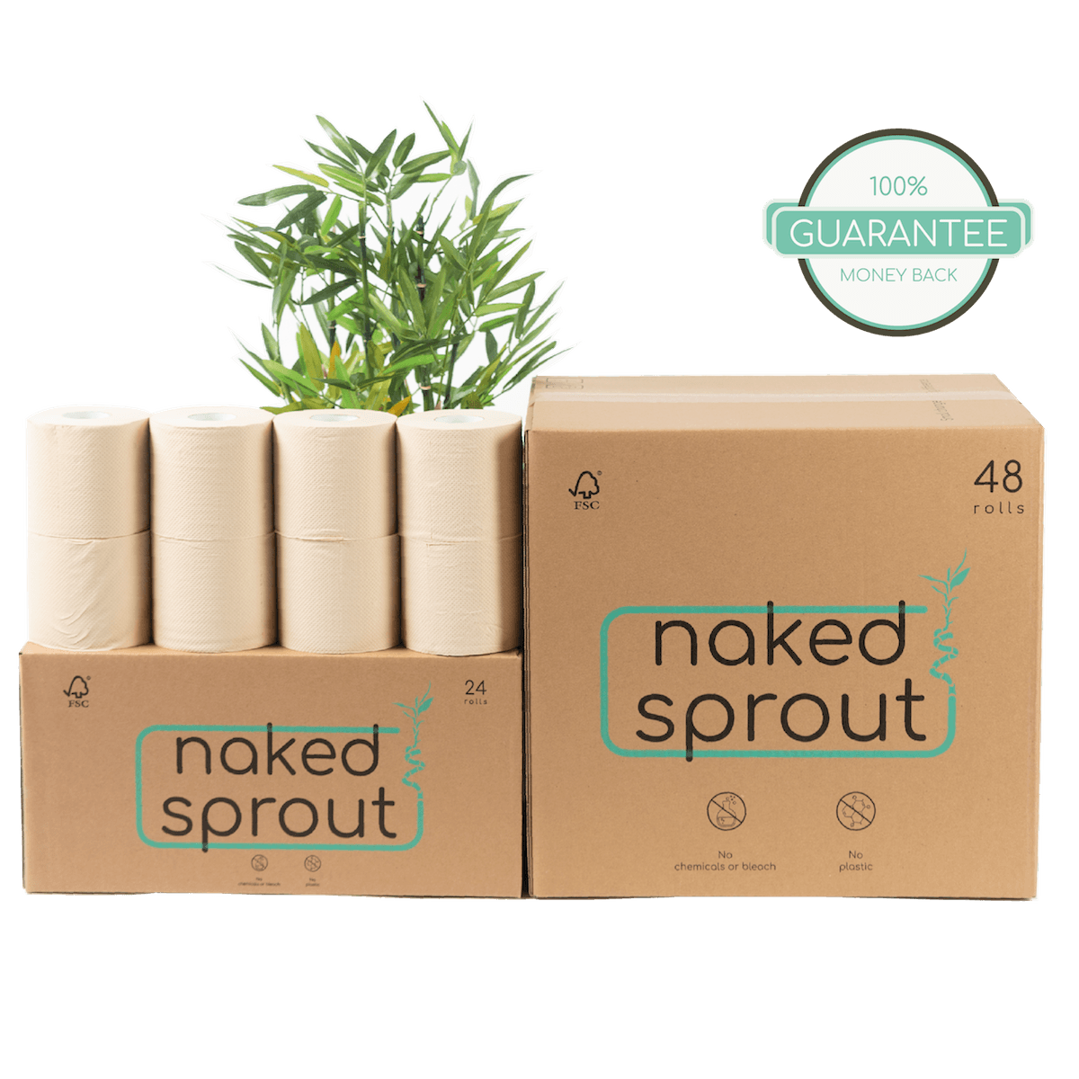 Best Bamboo Toilet Paper Naked Sprout vs. WGAC vs. Bazoo