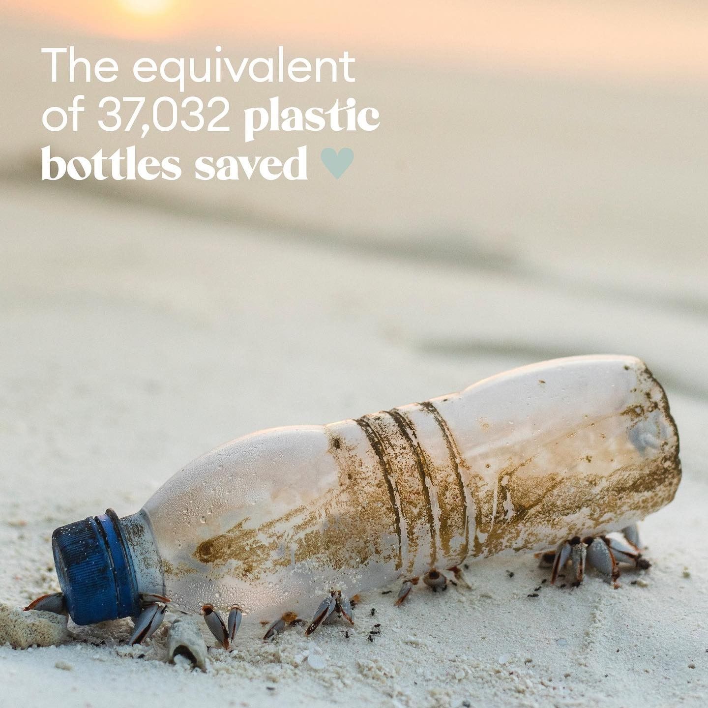 The equivalent of 37,032 plastic bottles saved is shown
