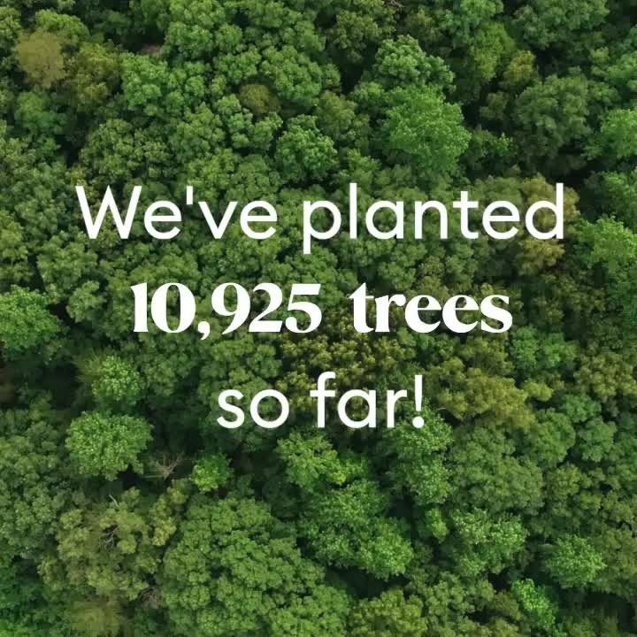 An aerial view of a forest with the words