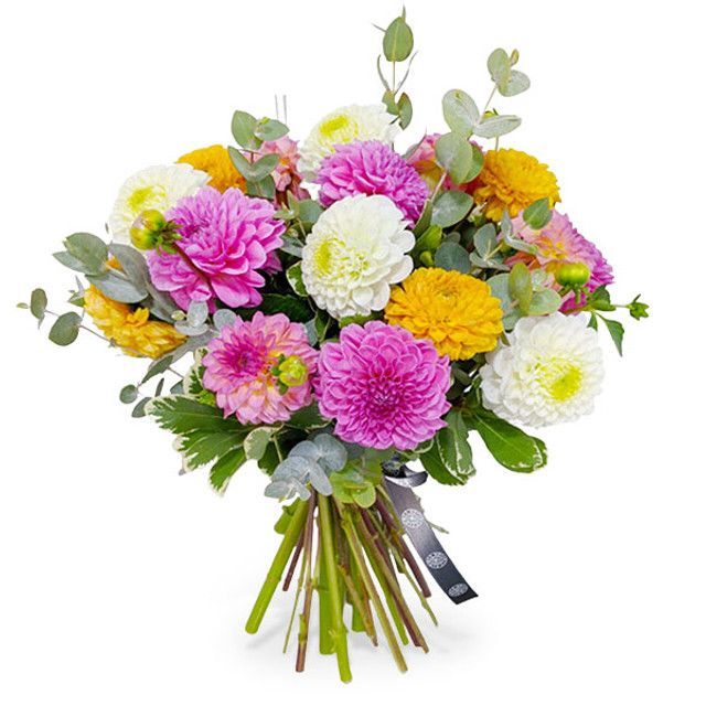 A bouquet of pink and yellow flowers with green leaves on a white background