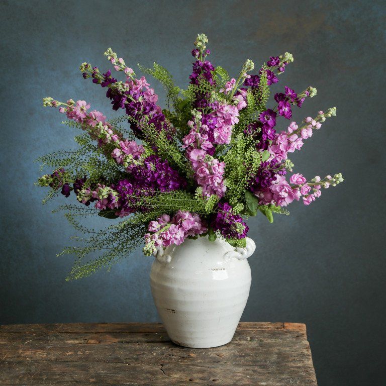 A white vase filled with purple and pink flowers