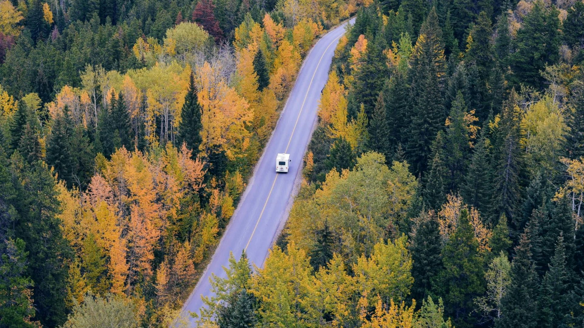 A white RV travels down a winding road through a forest with autumn foliage.