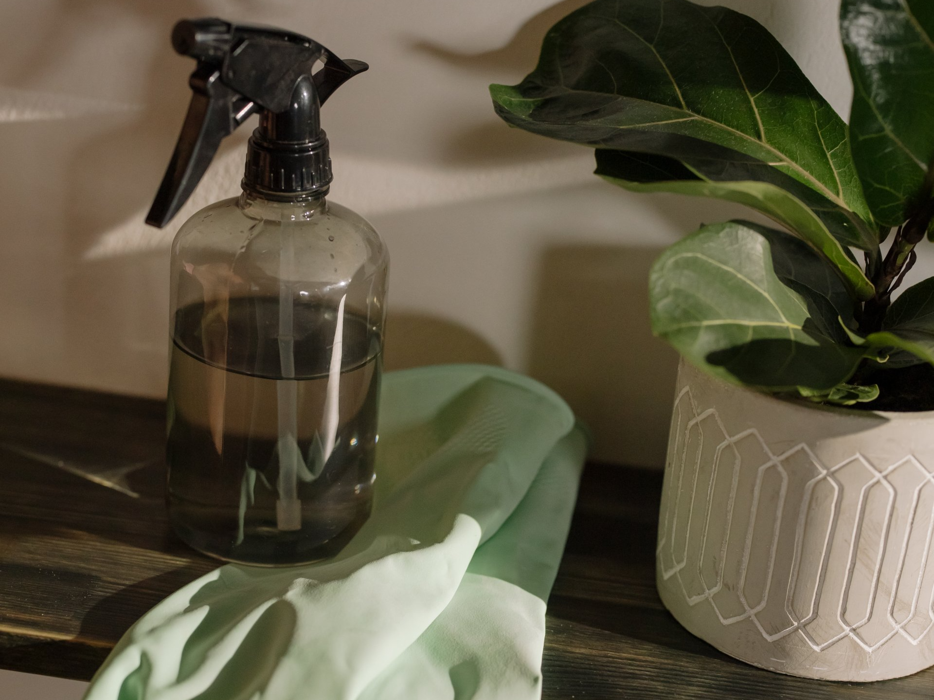 Best Zero Waste Cleaning Products