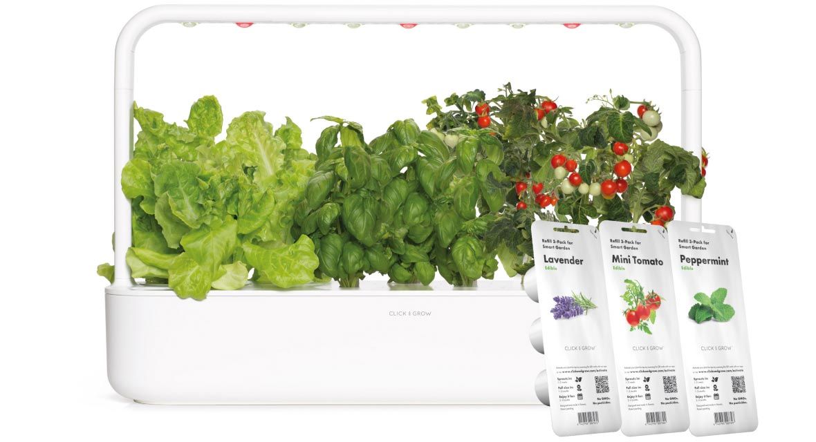 A Click & Grow planter filled with lettuce , tomatoes , basil and other plants.