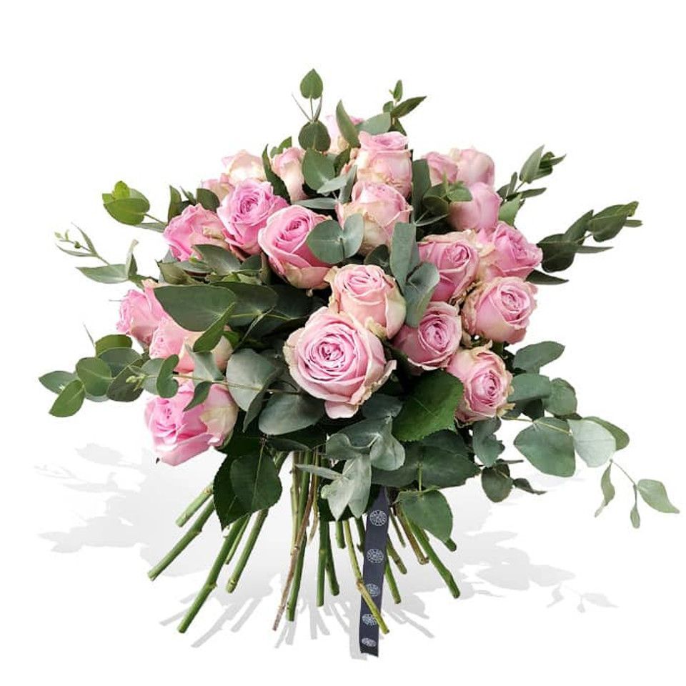 A bouquet of pink roses with green leaves on a white background.