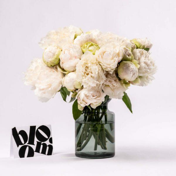 A vase filled with white flowers next to a sign that says bloom