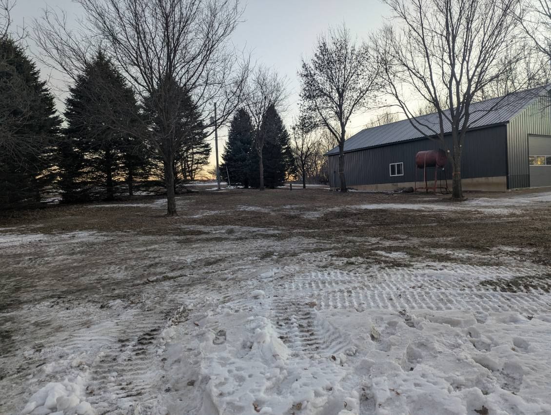picture of tree with a house