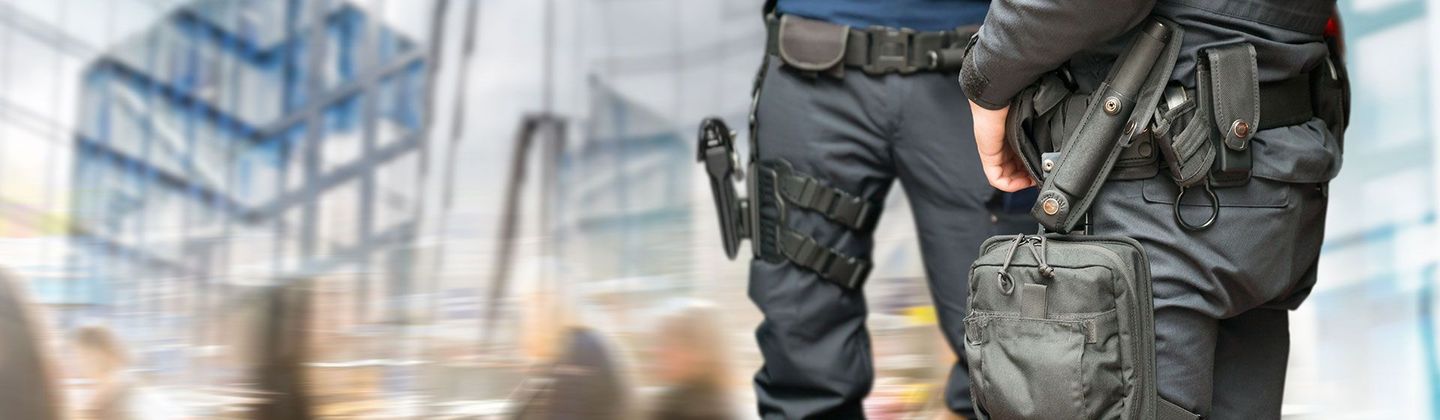 INTERBLANCK SEGURIDAD