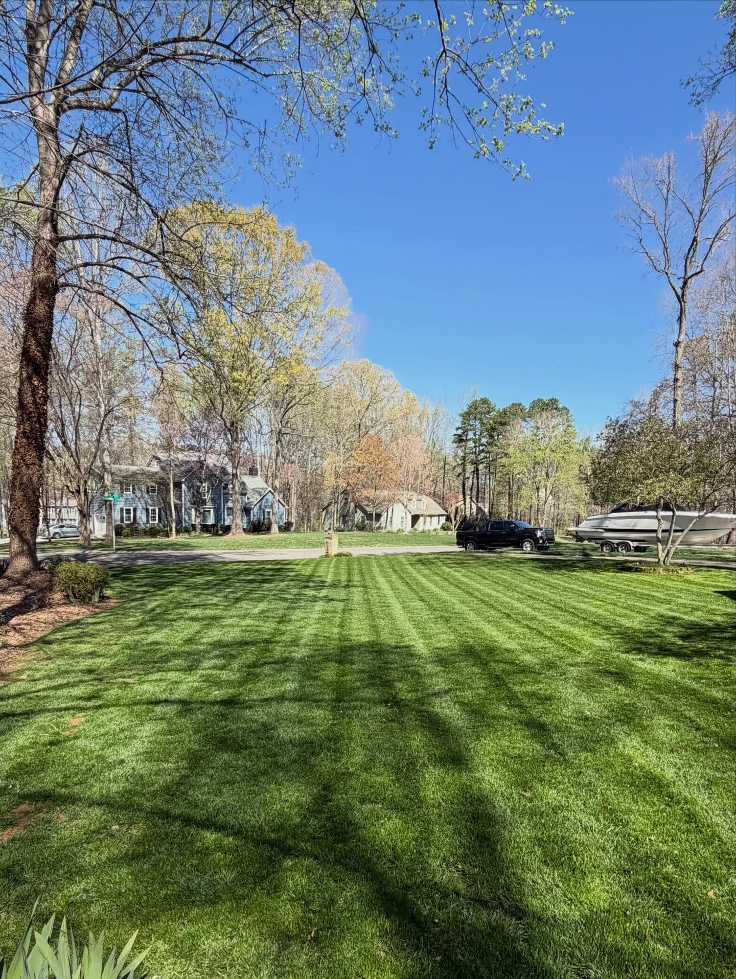 Sunlit park lawn with trees, long shadows, and a distant bench under a clear blue sky