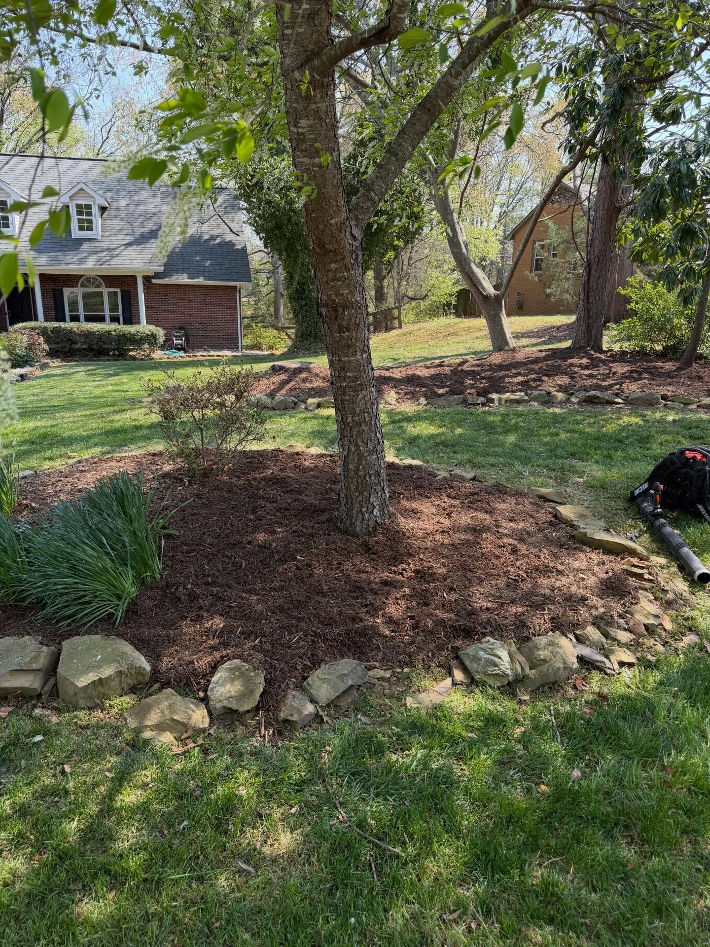 Front yard with two trees, stone-bordered mulch bed, green lawn, and a house in the background.