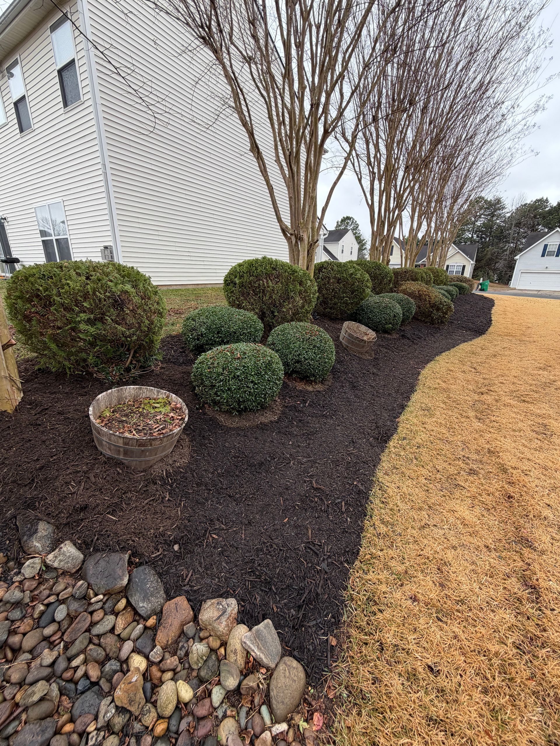 Mulched front yard with trimmed shrubs, trees, and decorative rocks beside a house