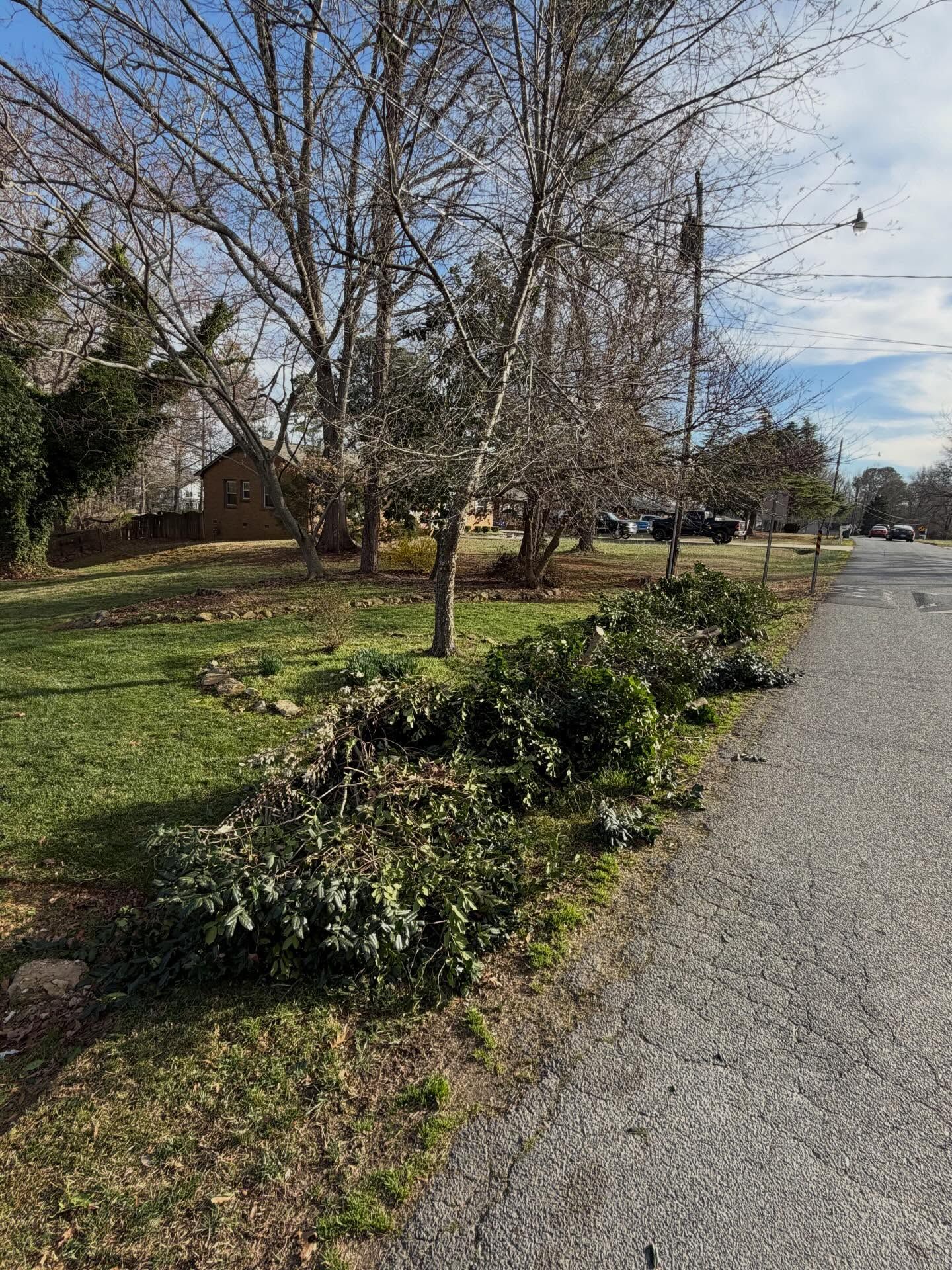 Gravel roadside with bare trees, shrubs, and a house in the background on a sunny day