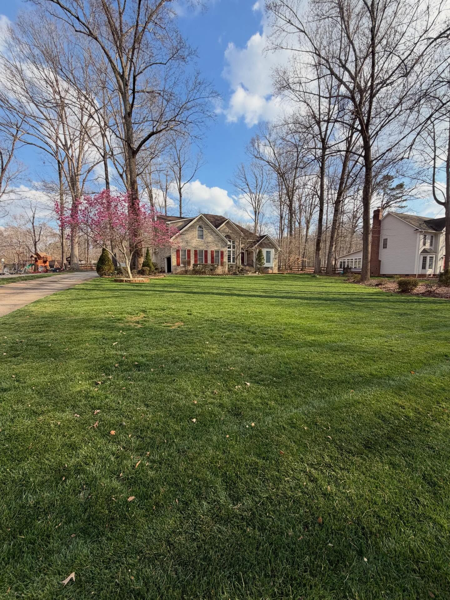 Suburban house with a green lawn, leafless trees, and pink blossoms under a partly cloudy blue sky