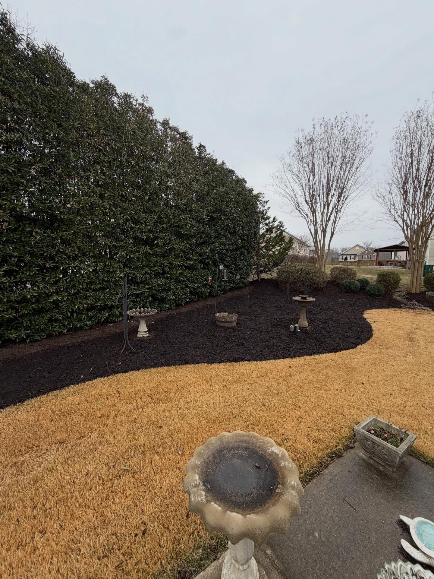 A landscaped yard with a hedge, dark mulch bed, tan grass, and a concrete patio with planters.