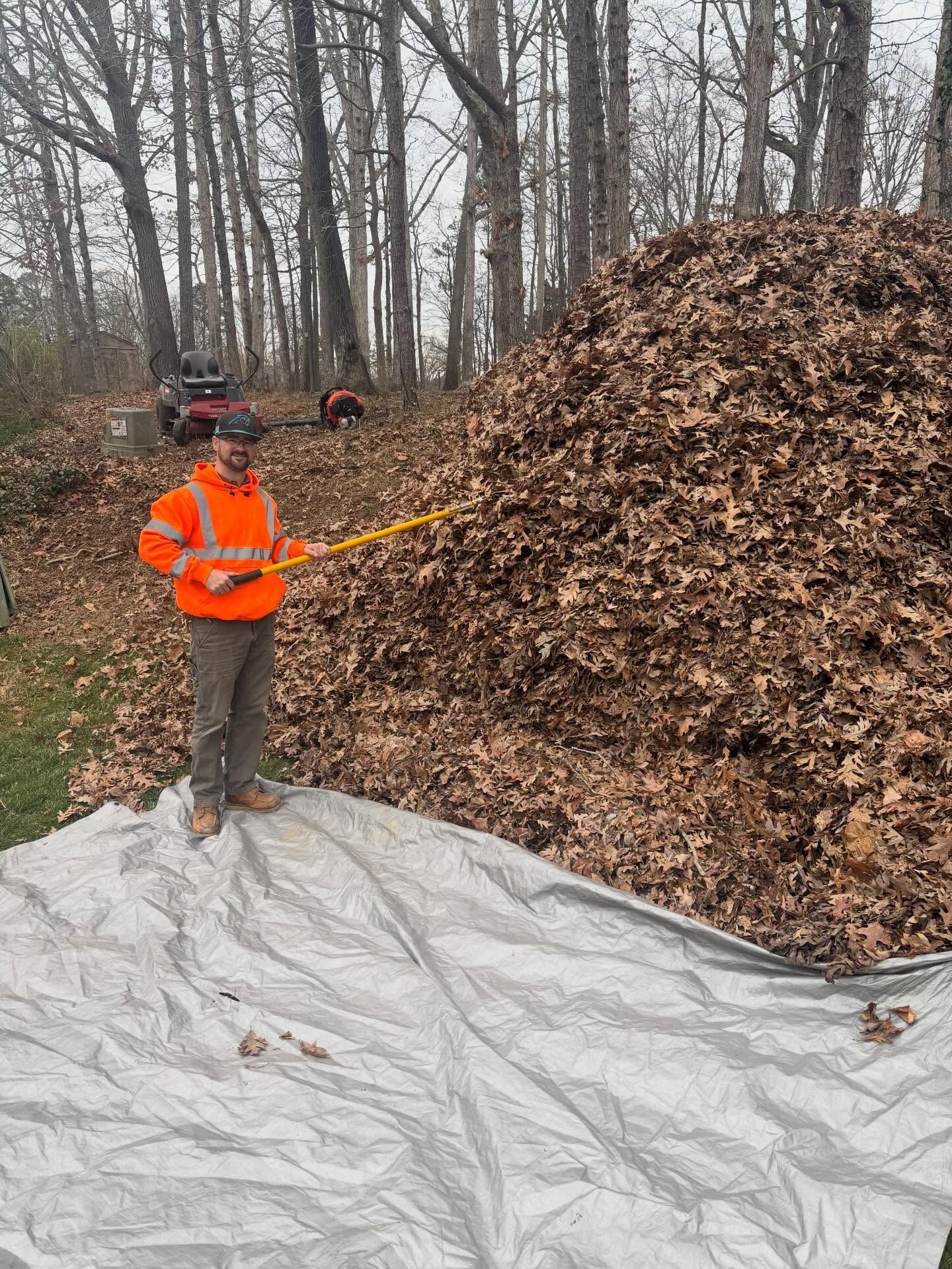 Person in orange safety gear measuring a large leaf pile with a tape measure in a wooded area.
