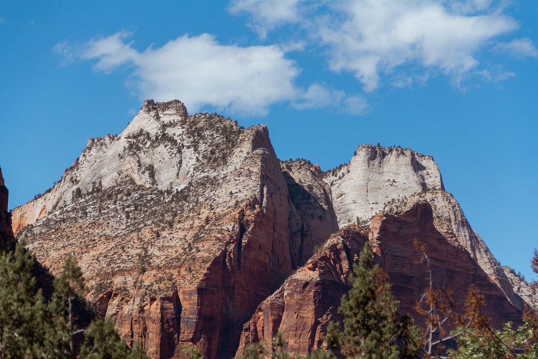 zion national park