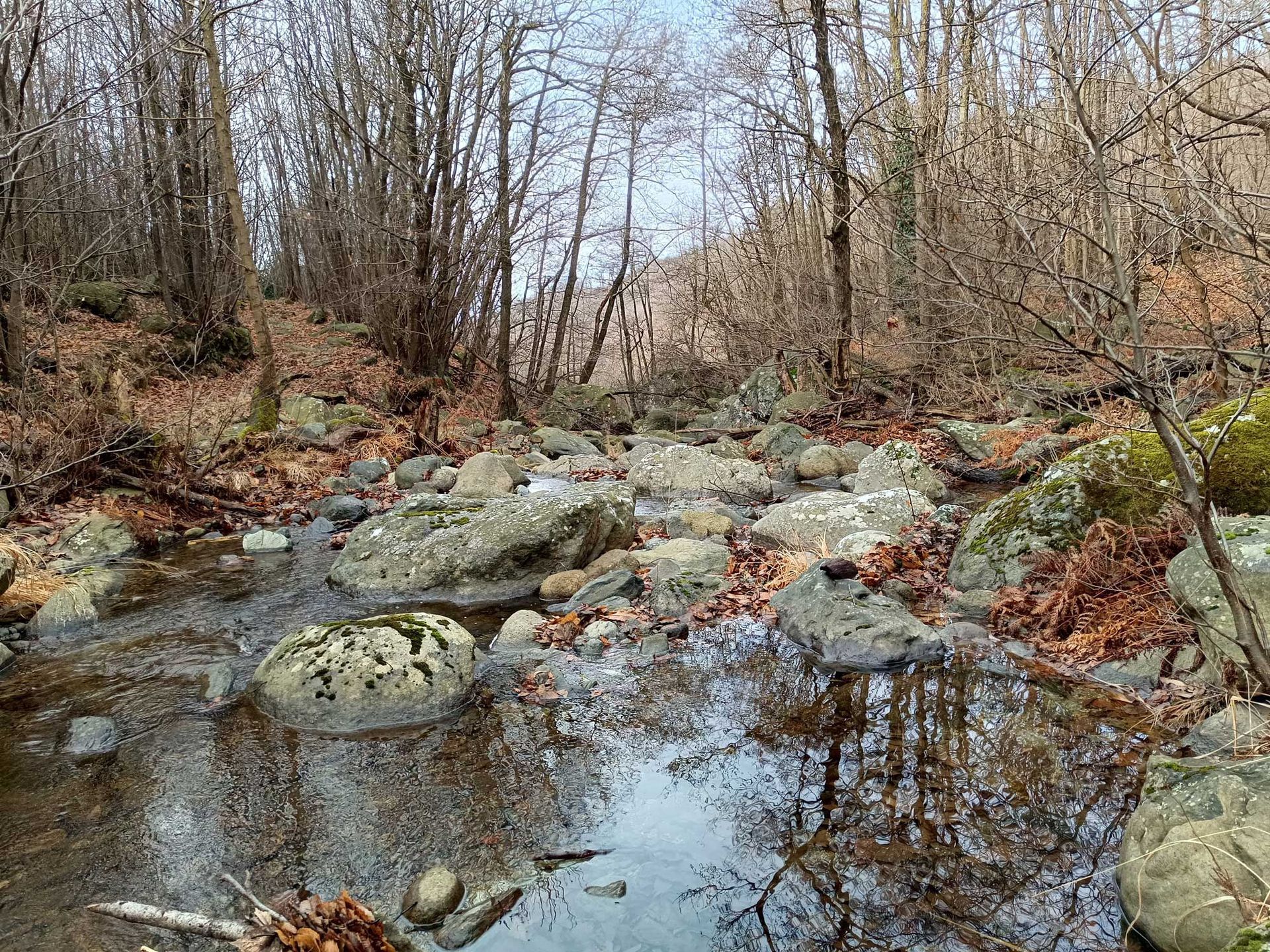 CONSULENZE GEOLOGICO-SISMICHE