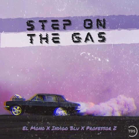 El Mono X IndigoBlu X Professor Z