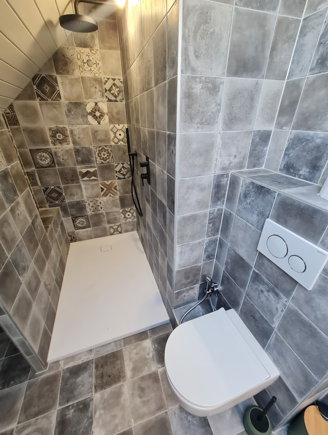 Il y a des toilettes et une douche dans la salle de bain.