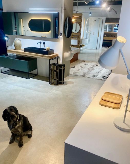 Un petit chien est assis sur le sol dans une salle de bain