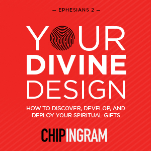your divine design book cover