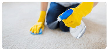 A cleaner cleaning a carpet by hand