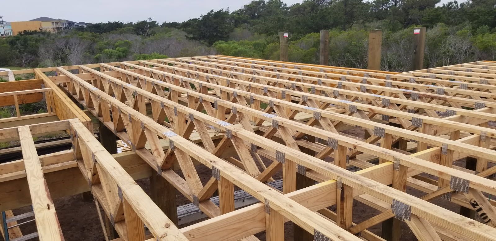 The roof of a building is being built with wooden beams.