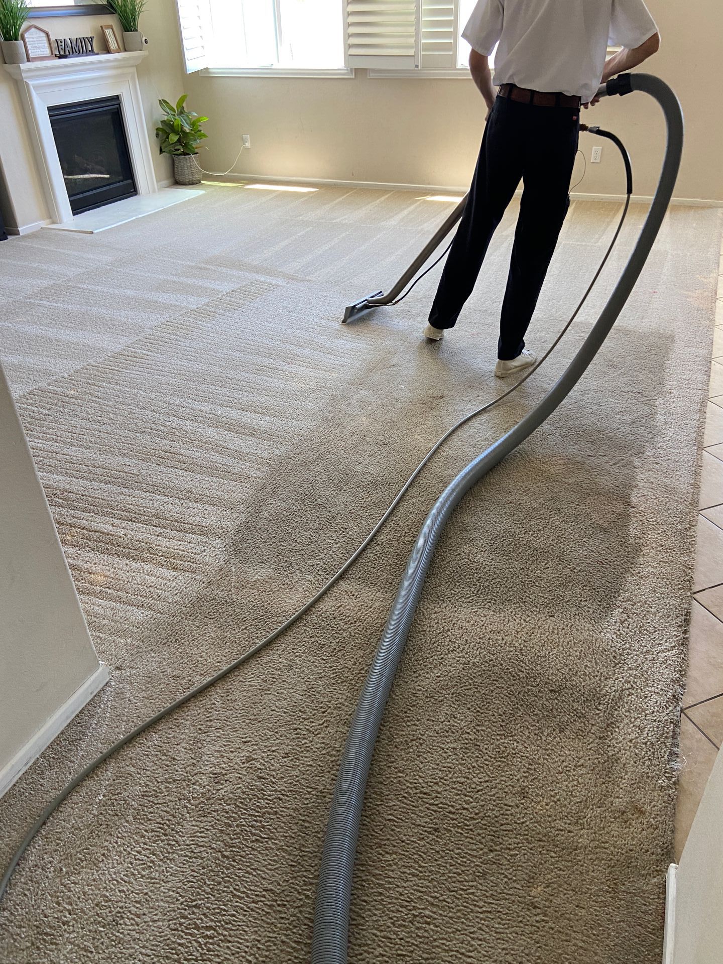 carpet cleaning by petrichor