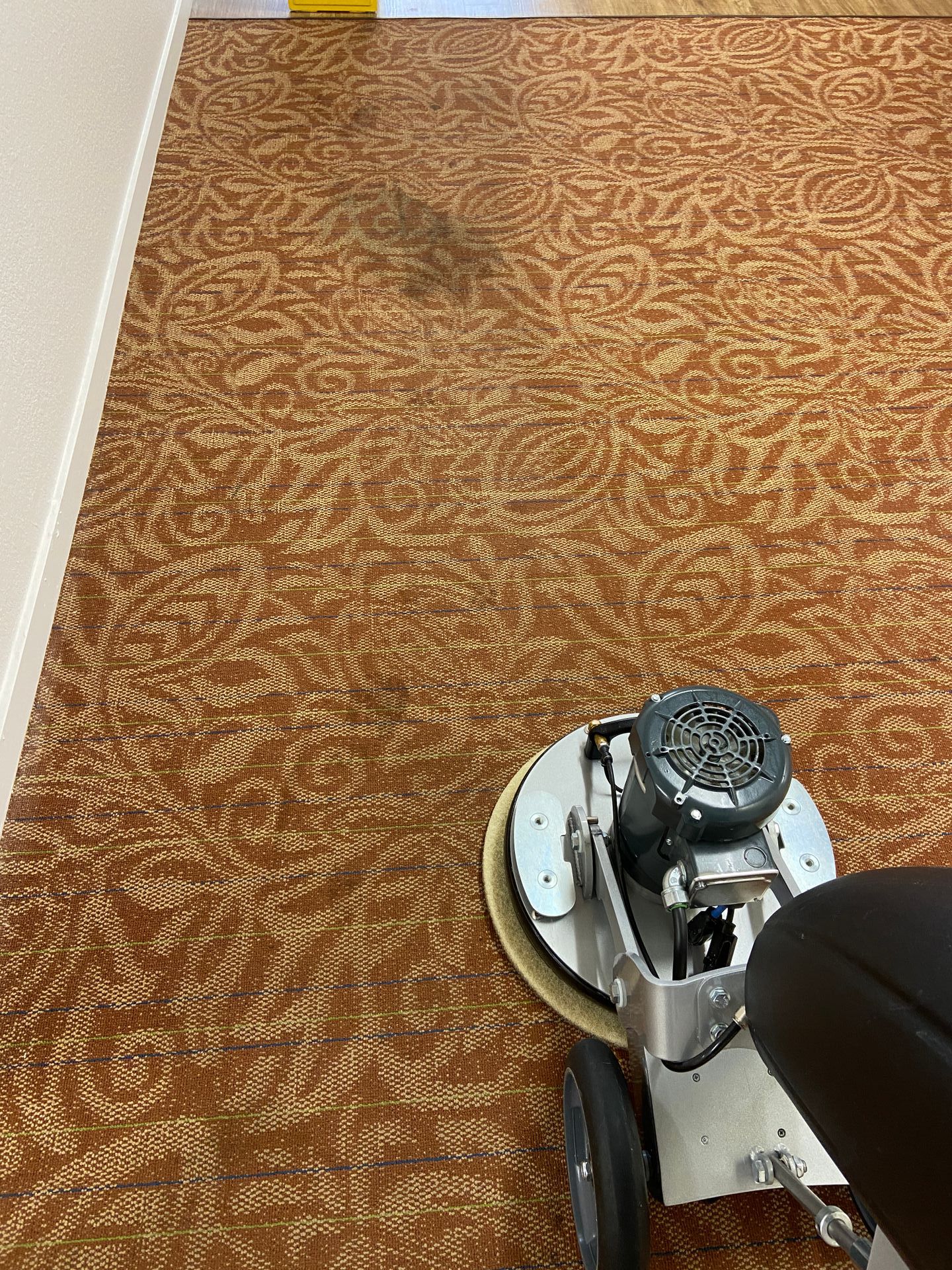 commercial carpet cleaning by petrichor