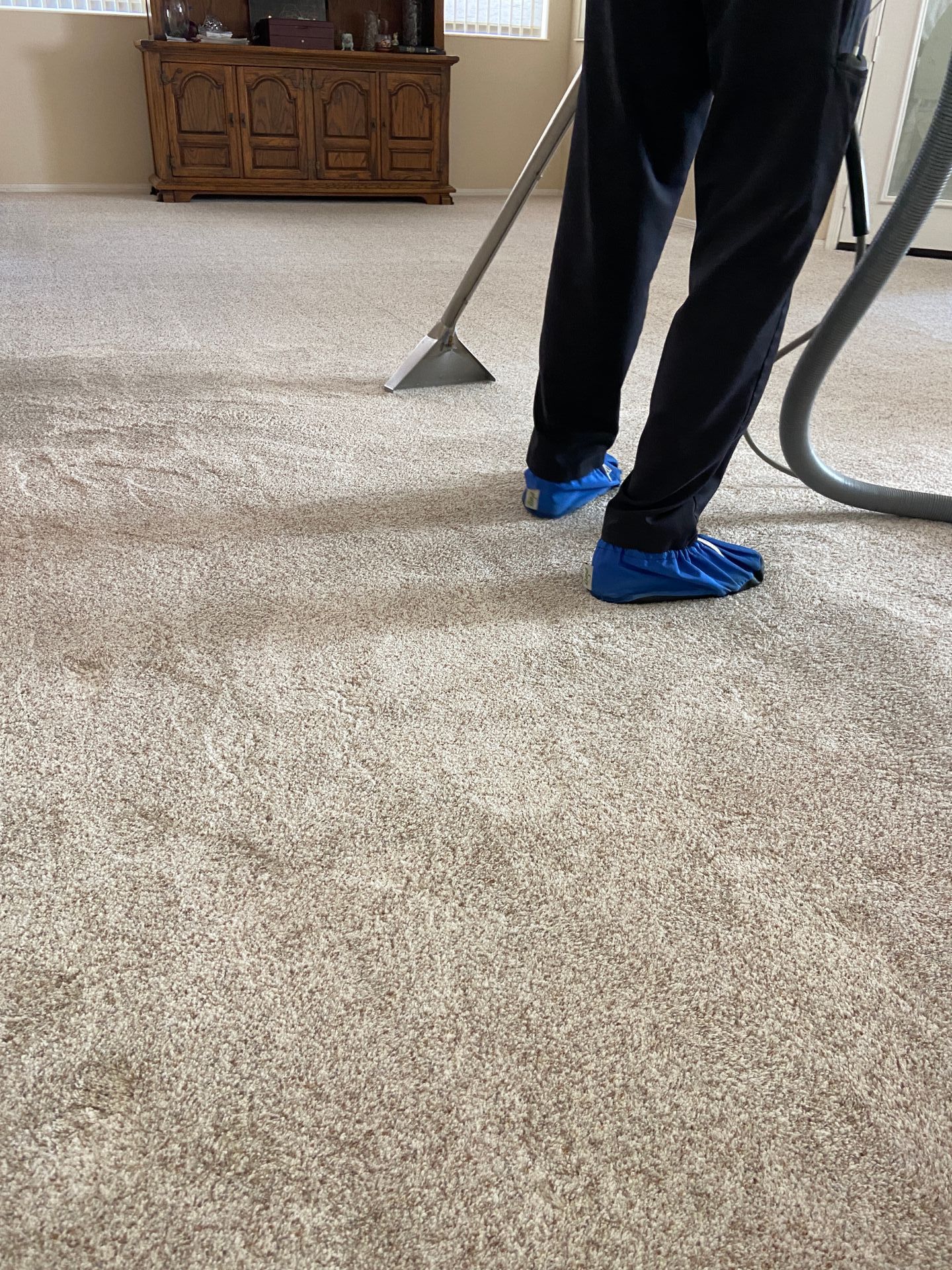 carpet cleaning by petrichor